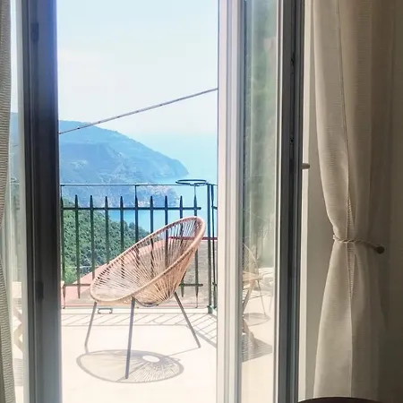 Salvia, Cinque Terre * 韦尔纳扎