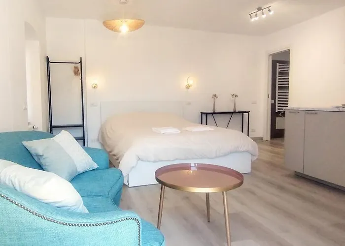 Salvia, Cinque Terre * Vernazza